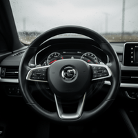 Why your steering wheel shakes and which tire issue is to blame — Prince Tires Calgary