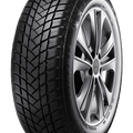 195/55R16 CHAMPIRO WINTERPRO 2 91H XL - Prince Tires