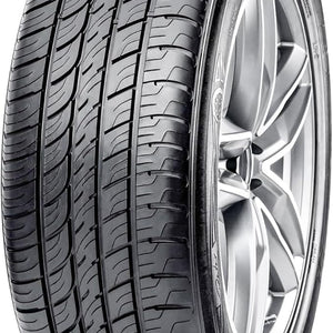 215/55R17 Dimax R8+ EVc 98Y XL (M+S) - Prince Tires