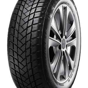 215/70R16 CHAMPIRO WINTERPRO 2 100H (A3205)